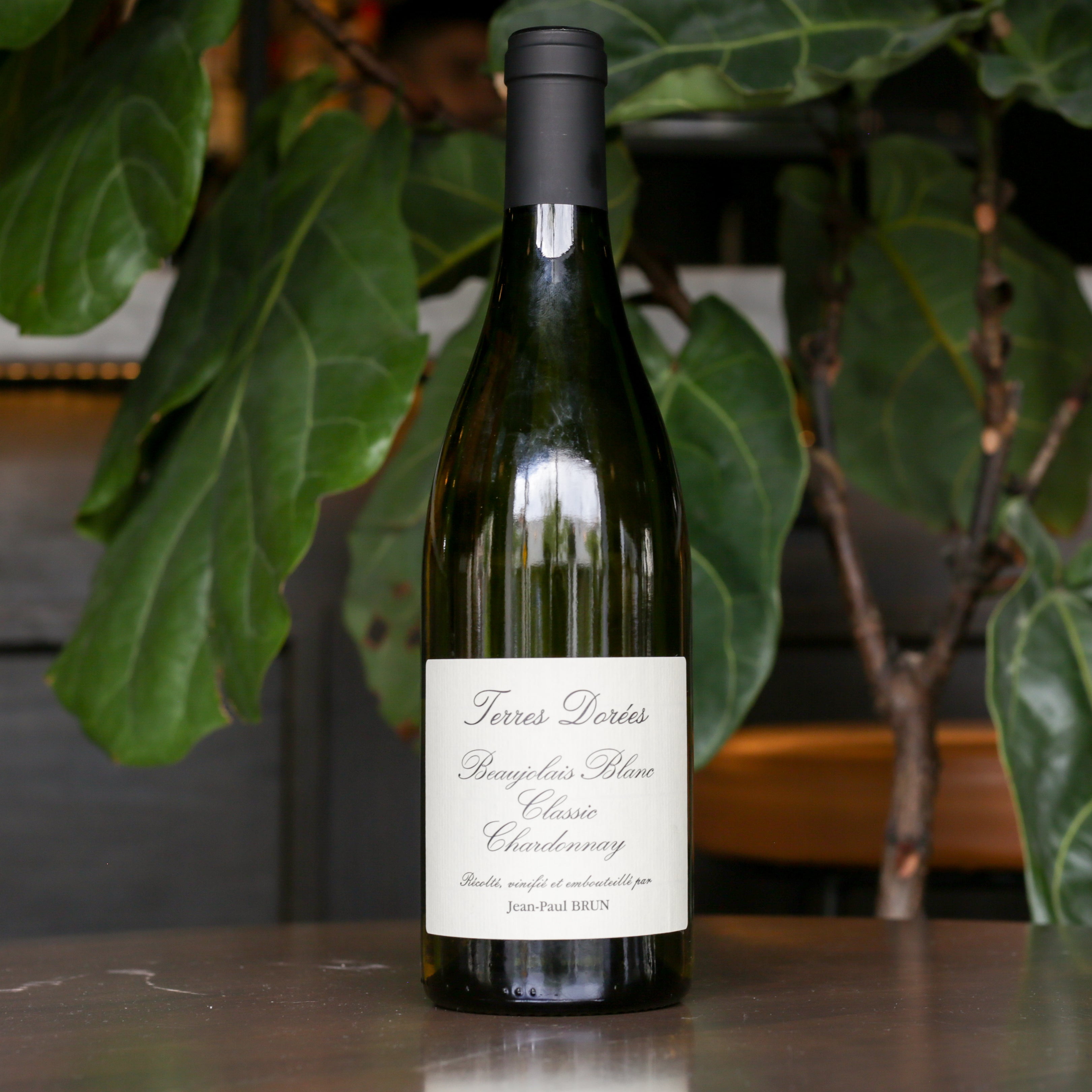 Jean-Paul Brun Terres Dorées Beaujolais Blanc – Maiden Lane Wine & Spirits